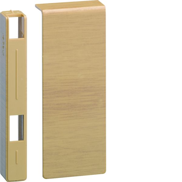Embout pour plinthe SL 15x100mm Chêne SL151006D5