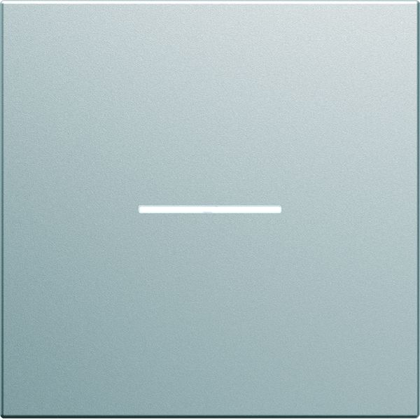 Enjoliveur Gallery interrupteur à voyant 2 modules , finition Titane WXD001T