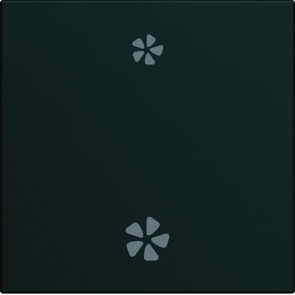 Enjoliveur Gallery VMC 2 modules , finition Night WXD003N