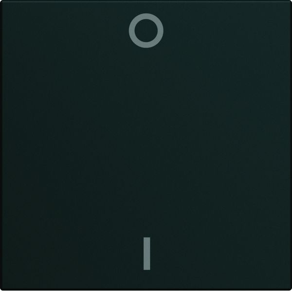 Enjoliveur Gallery interrupteur avec marquage 0-1, 2 modules , finition Night WXD004N