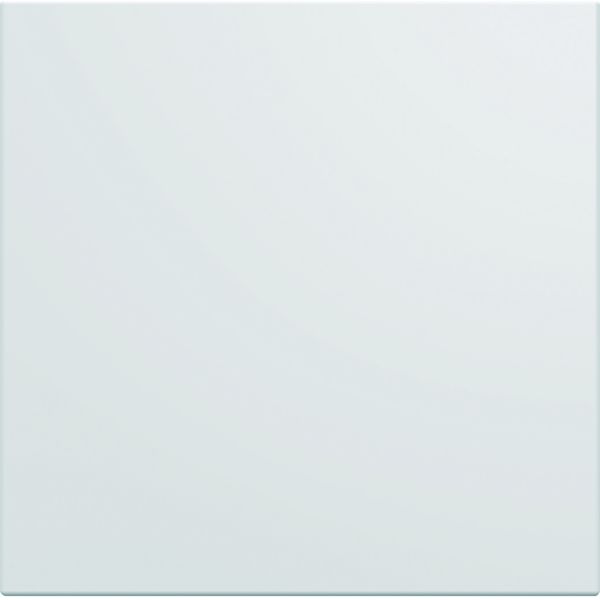 Enjoliveur interrupteur gallery à tirage pure WXD005B