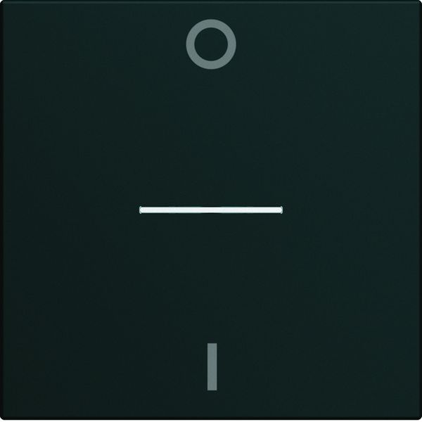 Enjoliveur Gallery interrupteur marquage 0-1 à voyant, 2 modules, finition Night WXD013N