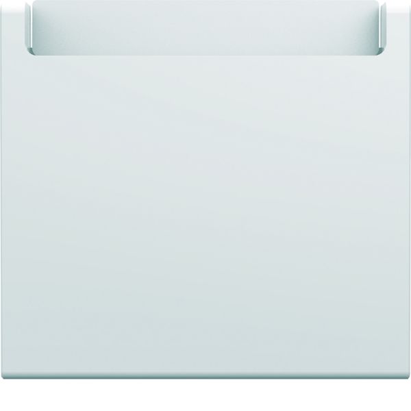 Enjoliveur Gallery interrupteur a carte hotel 2 modules , finition Pure WXD055B