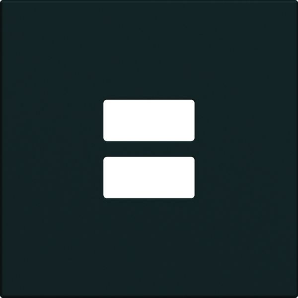 Enjoliveur Gallery prise double USB, finition Nuit WXD112N