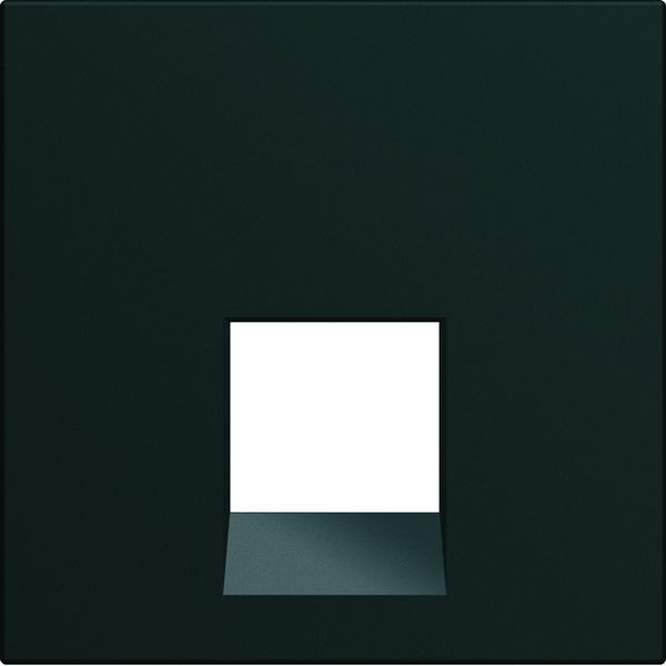 Enjoliveur Gallery prise RJ45 45° 2 modules, finition Night WXD230N