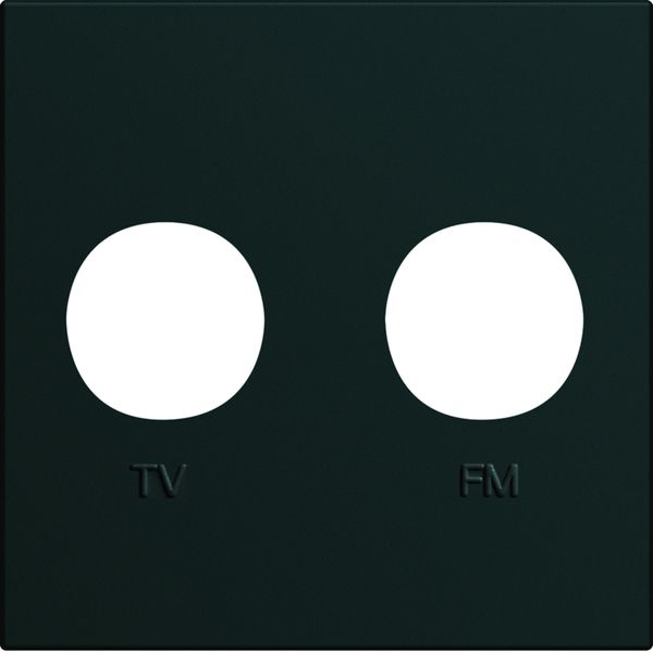 Enjoliveur Gallery prise TV + FM 2 modules, finition Night WXD253N