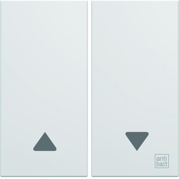 Enjoliveur Gallery volet roulant 2 modules , finition Antibactérien WXD300H