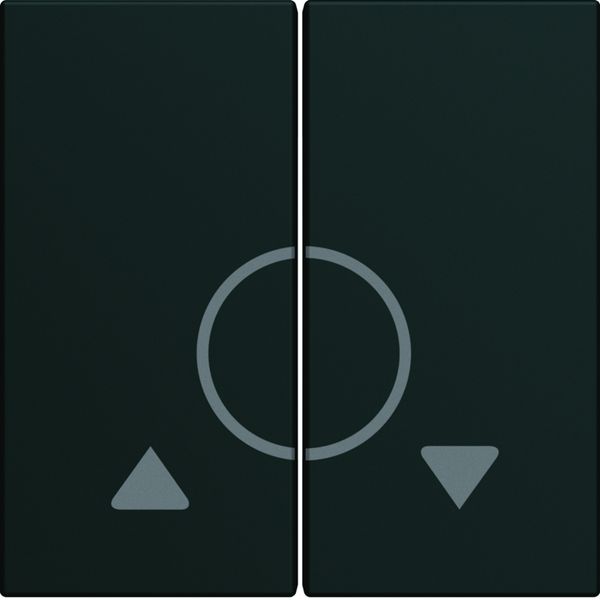 Enjoliveur Gallery volet roulant bouton poussoir 2 modules , finition Night WXD301N