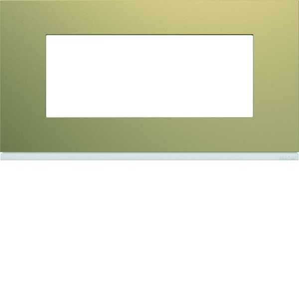 Plaque de finition Gallery 5 modules Champagne entraxe 71 mm WXP0405