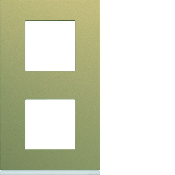 Plaque de finition Gallery 2 postes Champagne verticale entraxe 71 mm WXP0442