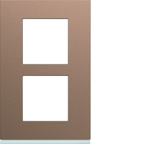 Plaque de finition Gallery 2 postes Rosé verticale entraxe 57 mm WXP0522