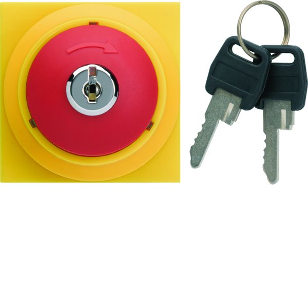 Arrêt d'urgence gallery à clé 2 modules WXF610