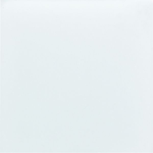 Etiquette pour voyant gallery 2 modules blanche WXA601