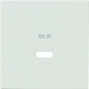 Enjoliveur Gallery prise USB 65W, finition AT_PUBColour WXD115B