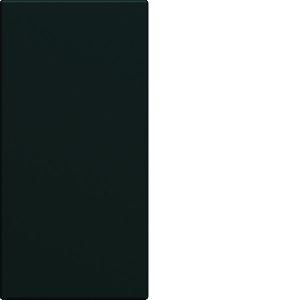 Obturateur gallery 1 module Night WXF688N