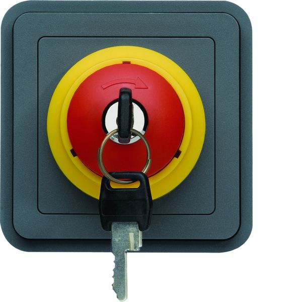cubyko Arrêt d'urgence avec clé associable gris IP55 WNA032