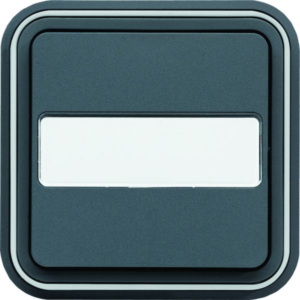 Bouton poussoir porte étiquette 1F Cubyko étanche IP55 gris pose en encastré WNE025