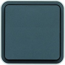 Bouton poussoir à fermeture 1F Cubyko étanche IP55 gris pose en saillie WNC020