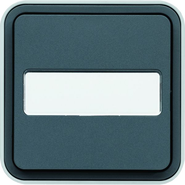 cubyko Poussoir porte-étiquette 1F saillie gris IP55 WNC025