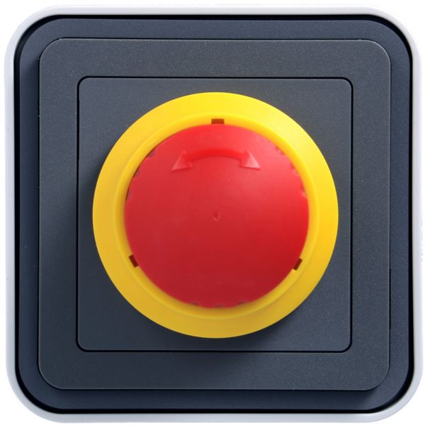 cubyko Arrêt d'urgence 1/4 tour saillie gris IP55 WNC033