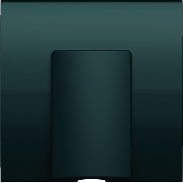 Sortie de câble Essensya monobloc Anthracite WE155A