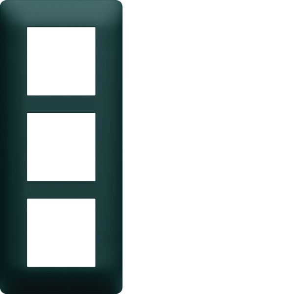 Plaque de finition Essensya 3 postes Anthracite entraxe 57 mm WE527