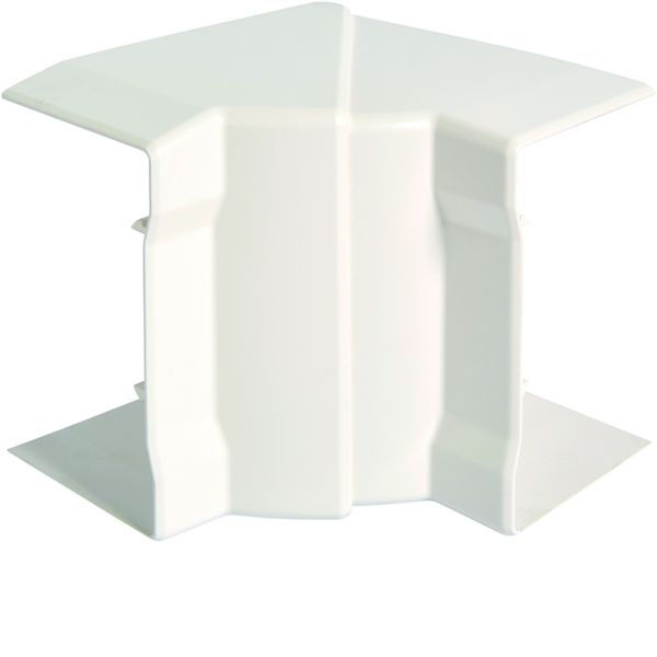 Angle intérieur variable pour goulotte d'installation GBD et GBA 50x85mm, Blanc GBD5008549016