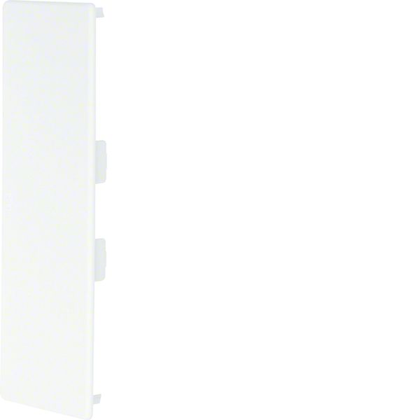 Embout pour goulotte de distribution lifea LFF et FB 60x190mm Blanc LF6019069016