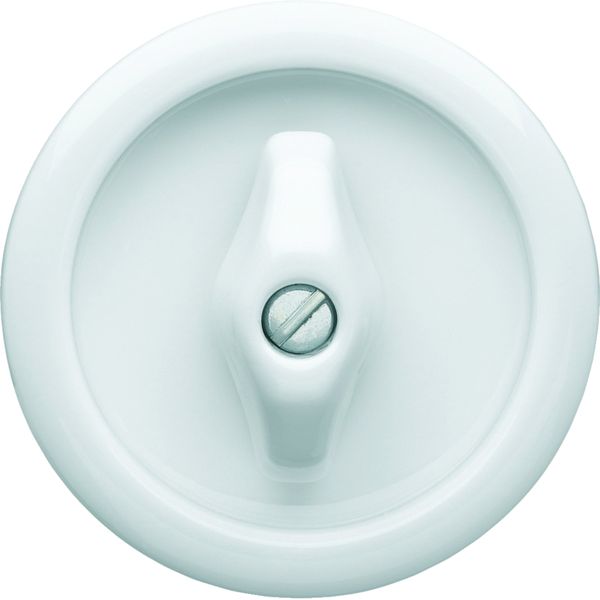 Enjoliveur 1930 à manette rotative Porcelaine Alba by Rosenthal WMV781B