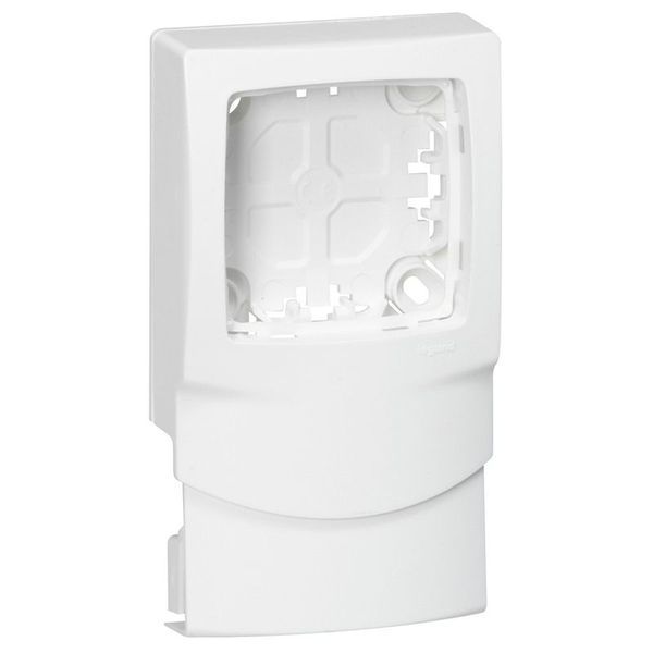 Cadre Appareillages Saillie 1 Poste Pour Moulures Dlplus Épa legrand 031456