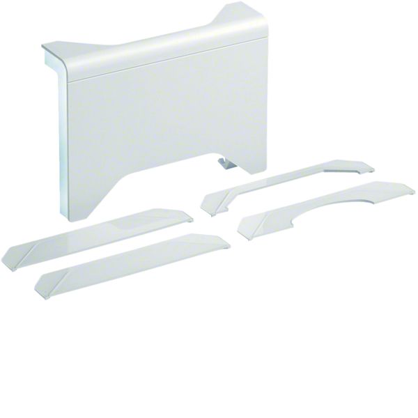 Té, Dérivation, SL20115 Pure SL2011589016