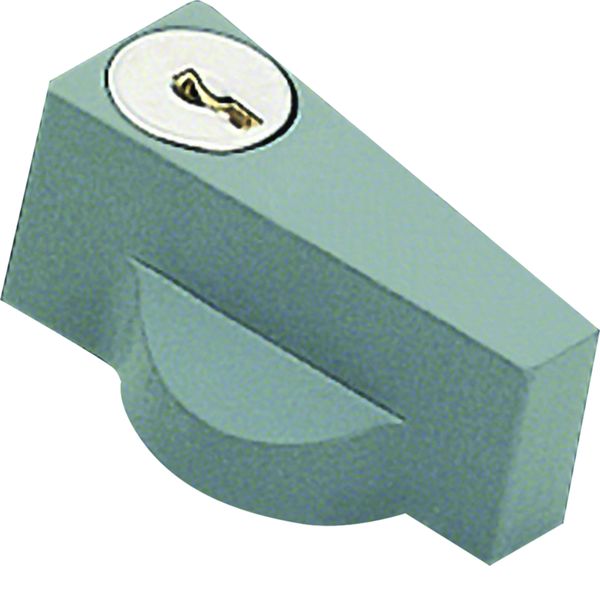 Poignée orion plus avec clé n427 RAL7046 pour coffret orion plus FL96Z