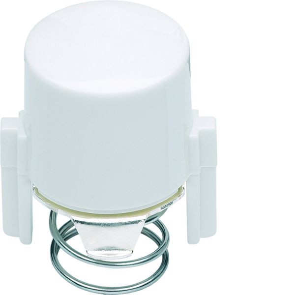 1930 Enjoliveur de poussoir à voyant E10 blanc WMV783B