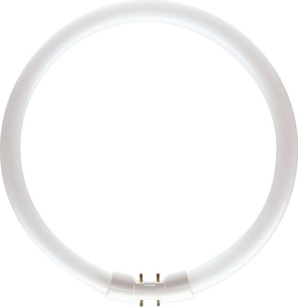 MASTER TL5 Circular 60W_840 642615 Philips