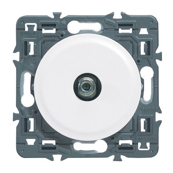 Prise Tv Simple Fiche"F"Diy Composabl.N1 legrand 099716