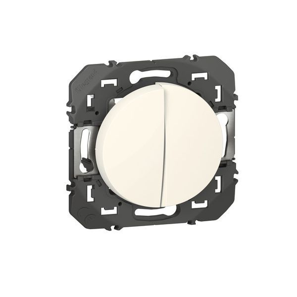 Double Interrupteur Ou Va-Et-Vient Dooxies 10Ax 250V~ Finiti legrand 600002