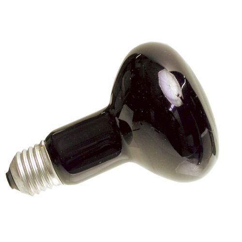 R80 Ø80mm 75W E27 Lumiere Noir 230V - L7892