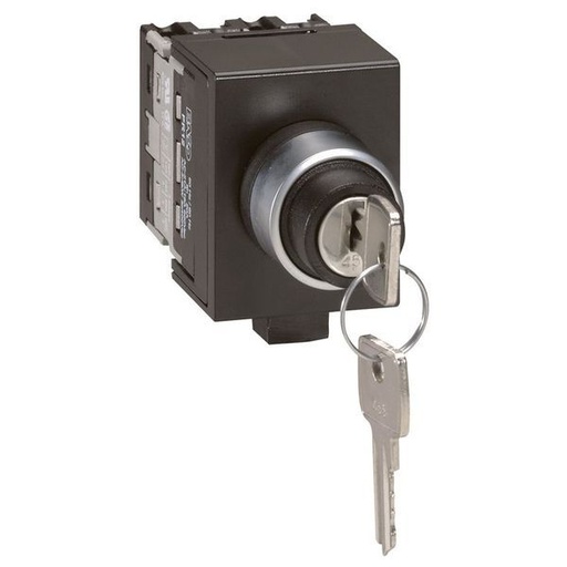 [LEG027580] Pr12 Inver Avec 0 2P Cle Fix D22 legrand 027580