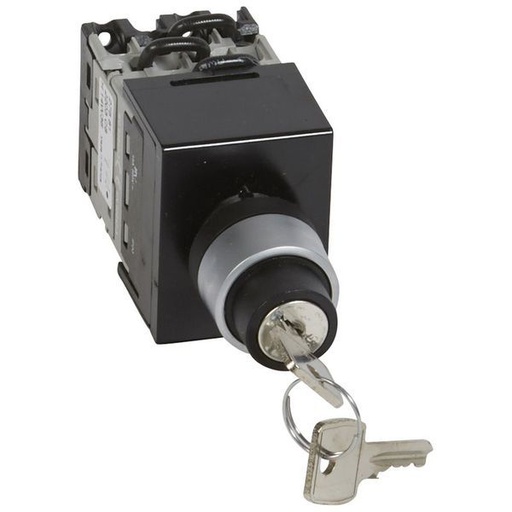 [LEG027581] Pr12 Inver Avec 0 3P Cle Fix D22 legrand 027581