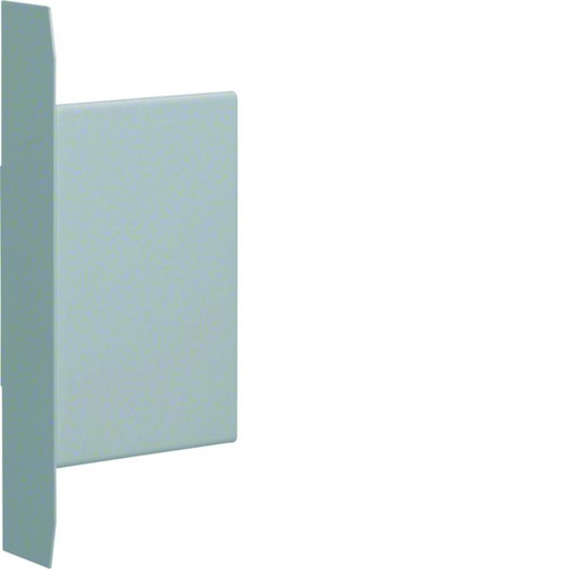 [HAG-BKIS251306EVERZ] Embout pour BKIS épais 25mm acier (VERZ) zingué BKIS251306EVERZ