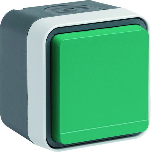 [HAG-WNC100V] Prise de courant 2P+T étanche cubyko IP55 vert complète installation saillie WNC100V