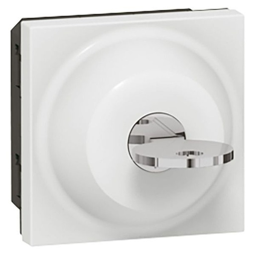 [LEG077072] Interrupteur À Clé Mosaic 2 Positions Clé Ronis 2 Modu legrand 077072